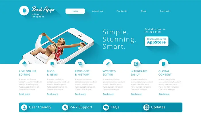 Software Company Responsive WordPress Theme